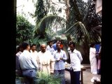 Socialising in the Institute garden