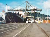 MV Act 7 in Wellington