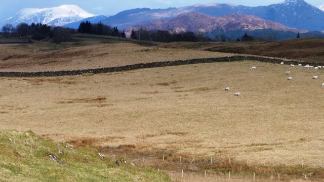 Baleoveolan with Ben Nevis