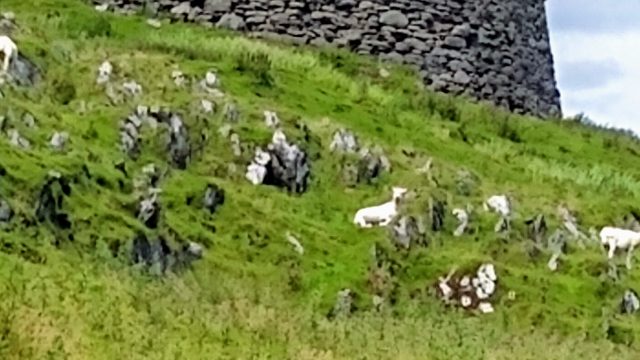 The broch