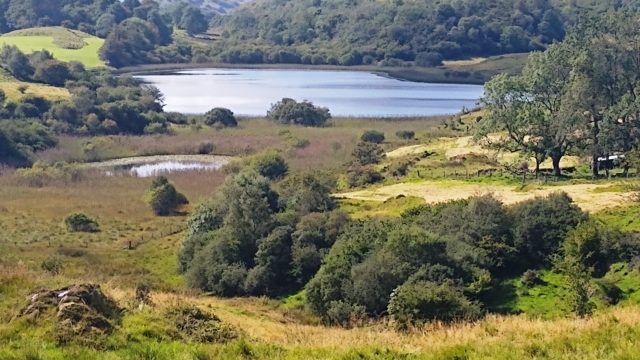 Craignich Number 9 Photo from walk: Craignich Number 9