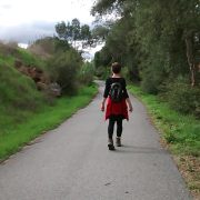 WALKS Go to the Walk Lismore site