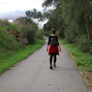 WALKS Go to the Walk Lismore site