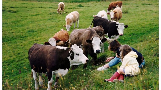 Introducing niece Sarah