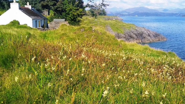 Stokers on raised beach