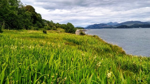 Balnagown raised beach