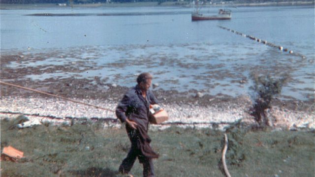 The line comes ashore at Point
