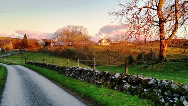 Baligarve late afternoon