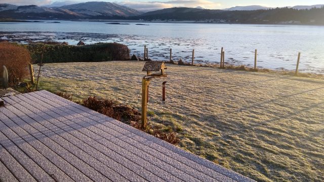 Cloudless winter January 2021