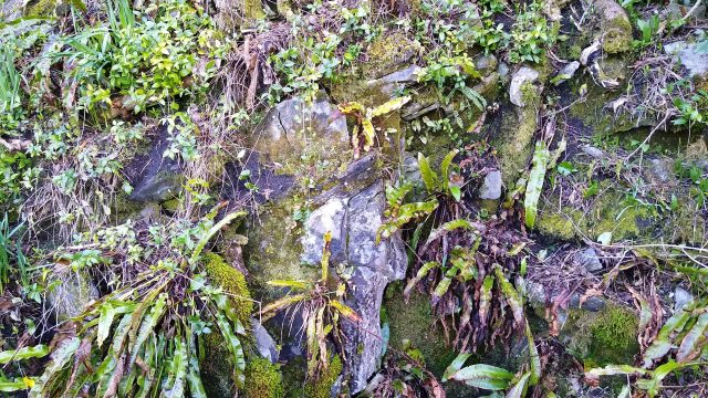The cliff where the water come from