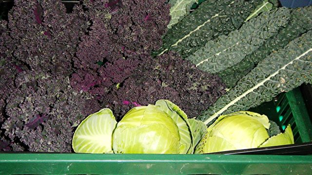 Hall Produce day 25.09.05, Camas Growers Hall Produce day 25.09.05, Camas Growers