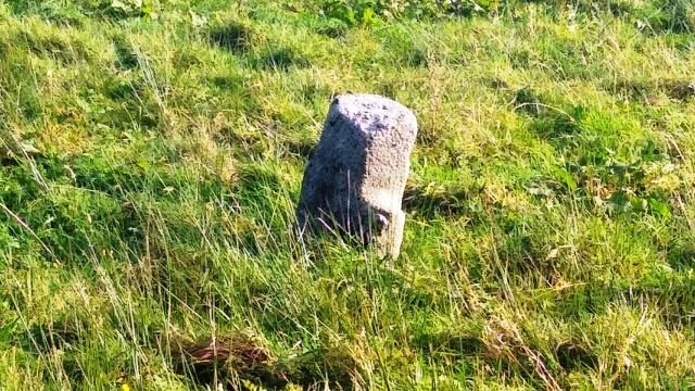 The Sanctuary Stone in the glebe The Sanctuary Stone