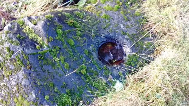 Possible Baptismal font in old graveyard Possible Baptismal font in old graveyard