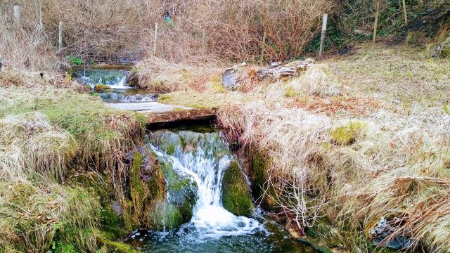 Newfield water Supply Newfield water Supply 6 March 2021supply