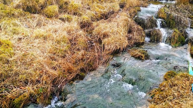 Newfield water supply Newfield water supply 6 March 2021